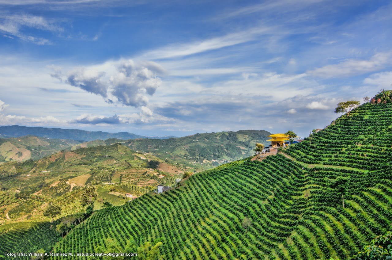 Finca Buena Vista - Gallego Family