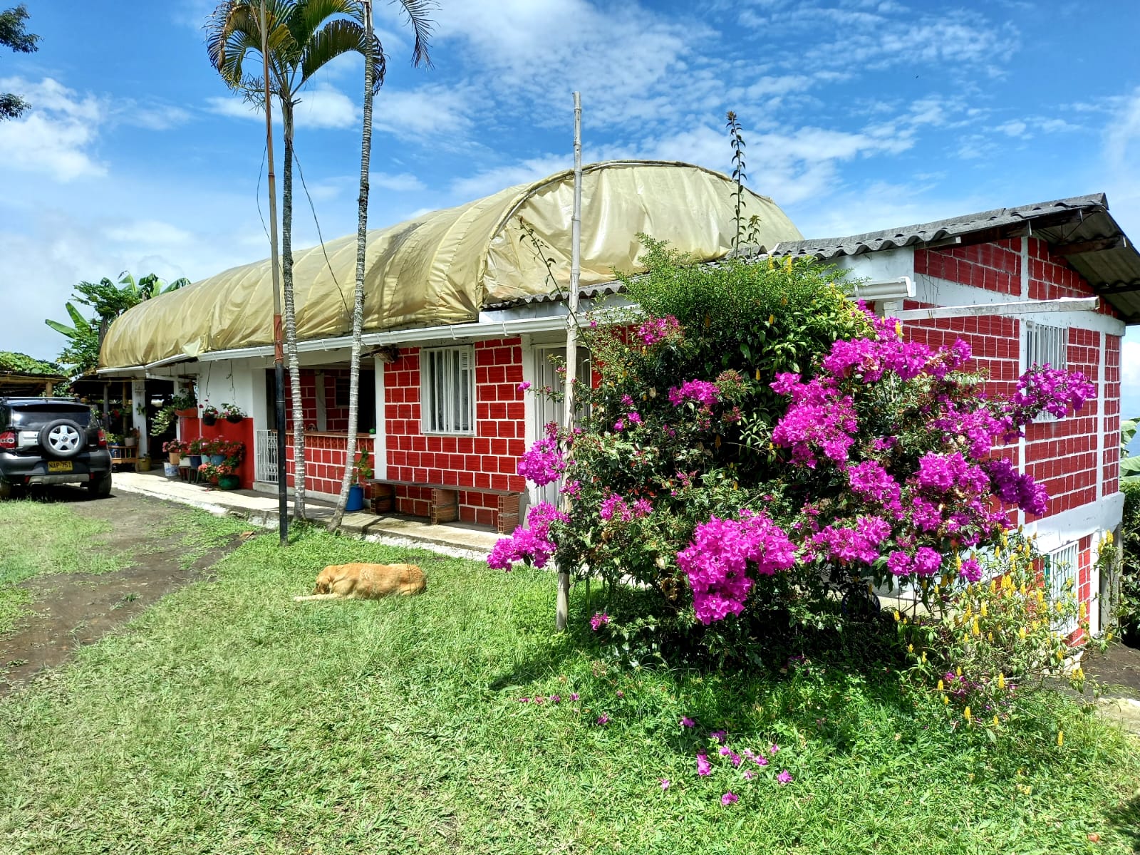 Finca La Carolina