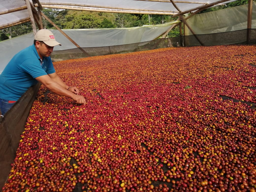 Corporación Agroempresarial CREA