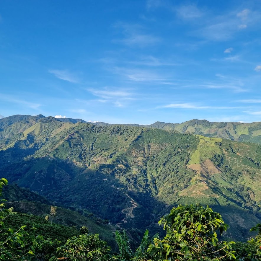 Finca La Abuela