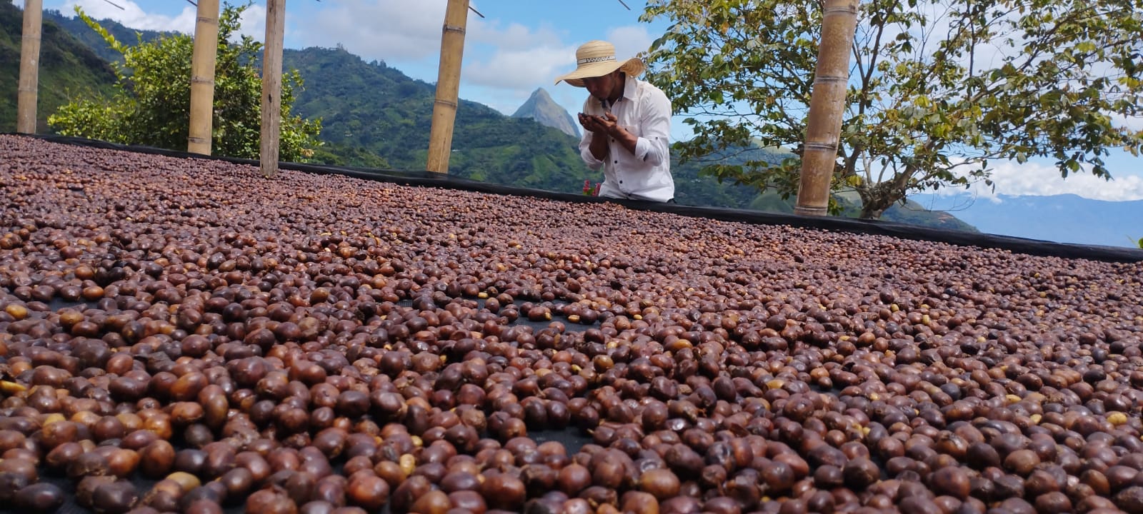 Finca Plan Bonito